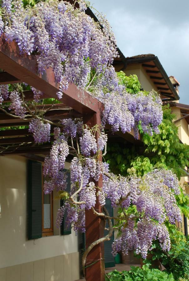 Casa Ai Pini Apartamento Panzano in Chianti Exterior foto